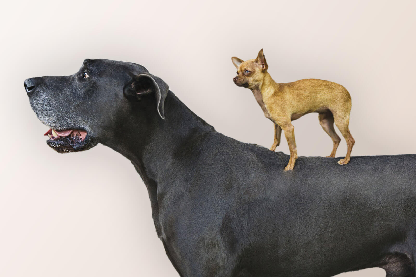Size Matters. To Us.